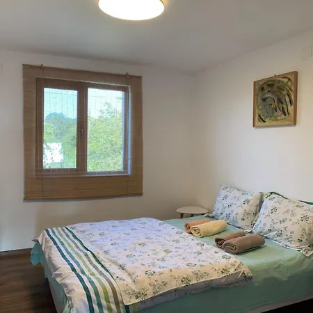 Garden House Near 别墅 *